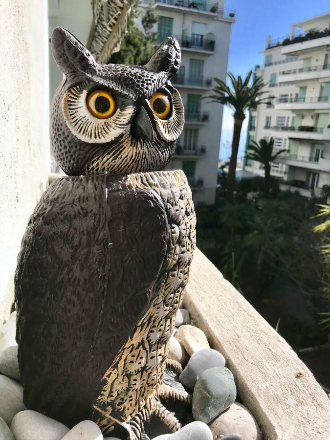 Nice Beach - Promenade Des Anglais Экстерьер фото